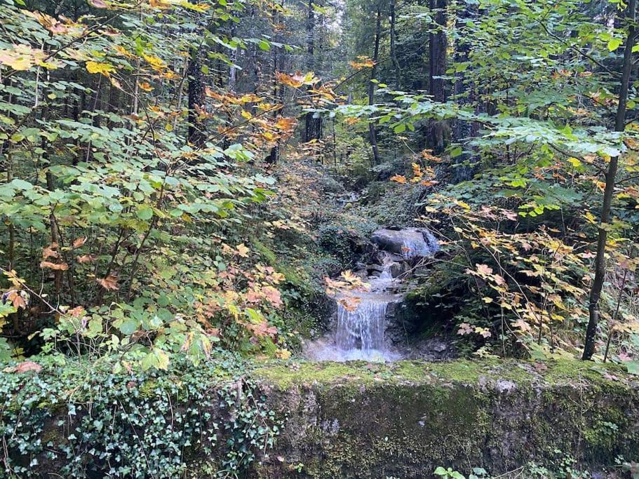 Casa Natur Pur, 85M2 Mit Garten Sauna Fischbachau Eksteriør bilde